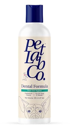 PetLab Co. Dental-Formel Wasserzusatz für Hunde | Zielt Zahnbelag und Zahnsteinbildung für frischen Atem und gesünderes Zahnfleisch | Frisches Trinken Mundhygiene-Pflege (Keine Bürste erforderlich)