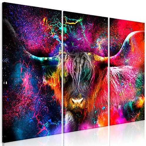 murando - Leinwandbild Highland Kuh bunt, 135x90 cm, 3-teilig, Schlafzimmer | Hochwertige Leinwand, sofort aufhängbar, ideal fürs Wohn- oder Schlafzimmer, wasserfest und lichtecht, langlebig, stilvoll