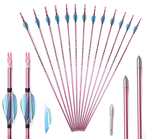 ACCMOS 12 Stück 28＂Bogenschießen Reinem Carbon Pfeile ID 4,2 mm Spine 900 Jagdpfeil Rosa für Compoundbogen RecurveBogen Schießen (Spine 900, 28 inch)