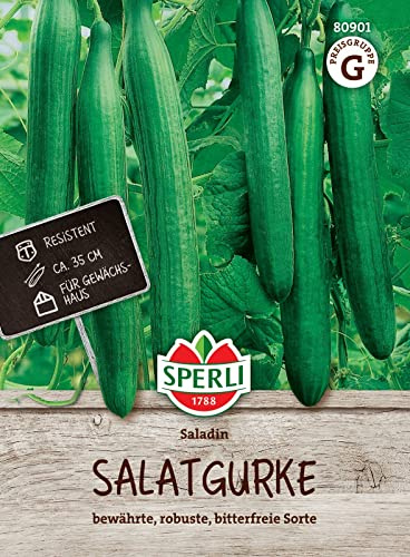 Sperli 80901, Salatgurke Saladin F1, bewährte robuste bitterfreie Sorte, ideal für Gewächshaus geeignet, Portionssaatgut