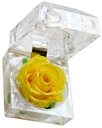 Operitacx Rosa preservada con flores preservadas en una pequeña caja de cristal, rosa eterna, regalo para el día de San Valentín, cumpleaños y aniversario (amarillo)