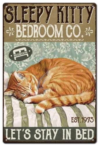 Targa in metallo retrò divertente con gattino vintage, decorazione artistica da parete per casa, bar, caffetteria, garage, hotel, sala da pranzo, palestra, uomo, grotta, gatto che dorme, placca in