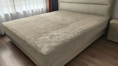 John Aird Teddy Fleece Fitted Bed Sheet Sort Warm Fluffy Thermal Bedding (Cream, Double)