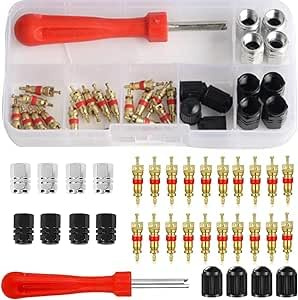 Crilemonis Tyre Valve Repair Kit with Valve Core Remover Tool, 4PCS for Schrader and Presta Valves, Bicycle and Car Tire Maintenance