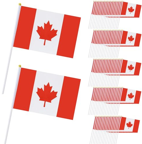 100 drapeaux canadiens 5, 5 x 8, 3 pouces, petits drapeaux du Canada à main, vibrants, résistants à la décoloration, mini sur bâtons pour cour, jardin, terrains de sport...