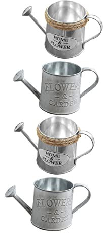 Didiseaon Set 4 Pezzi Secchielli in Ferro Argento per Fiori e Annaffiatura, Vasi Decorativi Moderni e Delicati per Patio e Decorare lo Spazio della Stanza