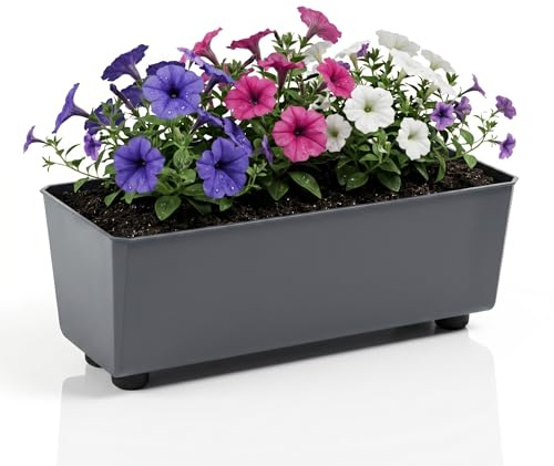 LAMELA Jardinière Rectangulaire avec Pieds Élégants – Bac À Fleurs Anthracite en Plastique Robuste 37 x 17 cm, 6L – Résistant Aux Intempéries & Facile À Entretenir – pour Intérieur & Extérieur
