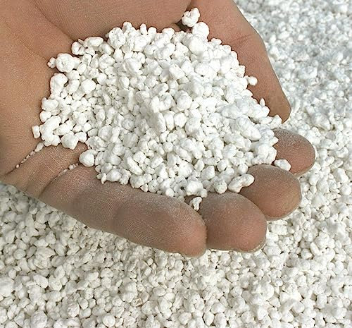 Bigbudz Premium Horticultural Perlite Potting Compost, 1L, 2L, 5L, 10L 20L 50L (2L)