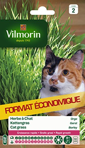VILMORIN - Herbe à Chat - Usage et Entretien Faciles - Bonne pour la Digestion des Félins - Croissance Rapide - Sachet de 30 g