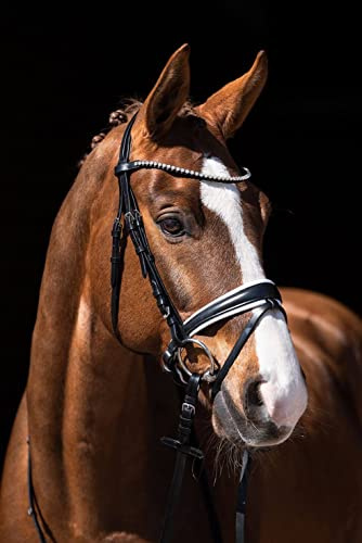HKM Flora Trense Schwarz Warmblut