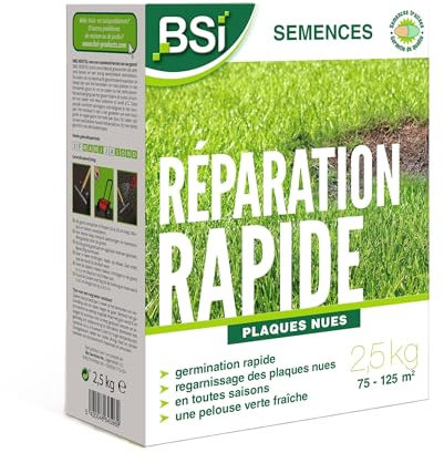 BSI - Semilla de césped - Reparación rápida - Con revestimiento protector - Alta calidad - Hasta 125 m² - 2,5 kg