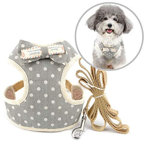 Zunea Harnais et Laisse Anti-Fuite pour Petit Chien Anti Traction Harnais Réglable à Pois avec Nœud Maille Souple rembourrée Harnais Veste pour Chiot Chat Gris L