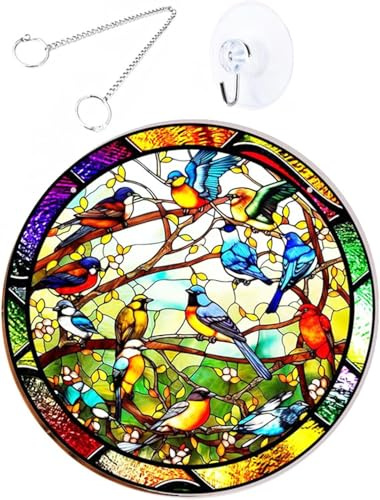 Kolibri Sonnenfänger 20 cm Doppelseitiger Acryl Fenster Mit Kette Zum Aufhängen Und Saugnapf gebeizter Vogel-Sonnenfänger für Fenster, Terrasse, Wand, Haus und Garten (Kolibri-Modell)