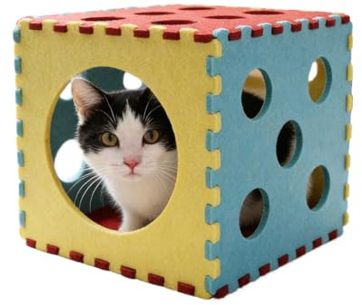 Kattunnel Leksak,Hopfällbar grottleksak,med Interaktiva Kikarhål Kattrör Passar Under 5,4 kg - Träning, Träningsredskap, Utomhus, Sovrum, Vardagsrum, Lägenhet