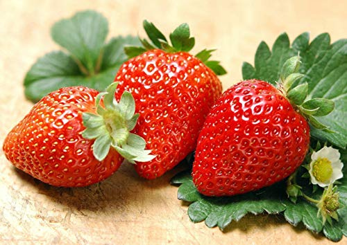 300pcs Giant Strawberry Seeds, Sweet Red Strawberry/Organic Garden Strawberry Fruit Seeds, for Home Garden Planting