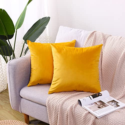 CXTAI Lot de 2 Housse de Coussin Velours 45 x 45 cm Carrées Décoratives - Jaune