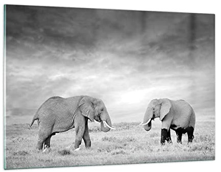 ARTTOR Wandbilder Dekoration Wohnzimmer Elefanten Schwarzweiß Safari Bilder auf Glas 120x80cm Glasbild Schlafzimmer Küche Deko Wand Kunstdruck Art Groß XXL Wanddeko Bild im Glas Modern GAA120x80-4186