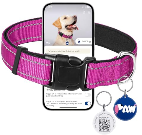Halsband Hund Verstellbar,Weich Gepolstertes Neopren Nylon Halsband für Welpe und kleine Hunde,mit QR-Code-Hundemarke zur Verlustprävention,(XS:1.5 cm breit, 20–30 cm lang), Magenta