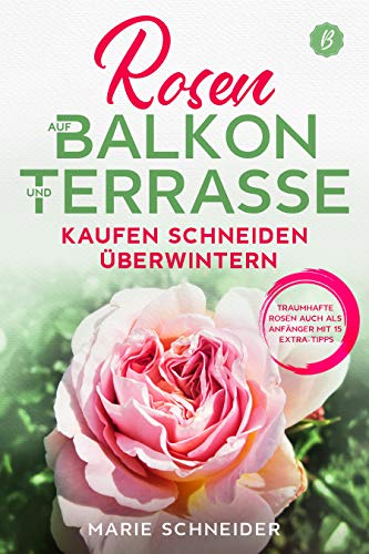 Rosen auf Balkon und Terrasse - Kaufen Schneiden Überwintern: Traumhafte Rosen auch als Anfänger mit 15 Extra-Tipps