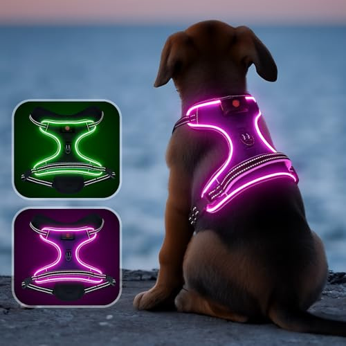 Leuchtendes Hundegeschirr, kein Ziehen, LED-Hundegeschirr mit Griff, wiederaufladbar, reflektierend, für nächtliche Spaziergänge, verstellbar, beleuchtet, für kleine, mittelgroße und große Hunde