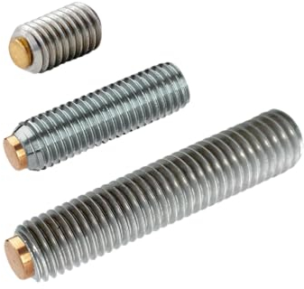 Druckschrauben Gewindestifte mit Messingbolzen M4 M5 M6 M8 Edelstahl V2A Rostfrei mit Innensechskant - Schraubstifte mit Druckzapfen (M6 x 12mm, 10, stück)