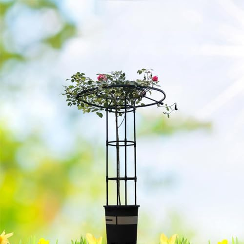 Talle de Jardin obélisque Treillis,Treillis de Jardin Vertical en Métal, 210cm Tuteur Plant_e Grimpante,Treillis végétal en Treillis de Jardin à Niveaux en Forme de Parapluie(180cm/70.9in)