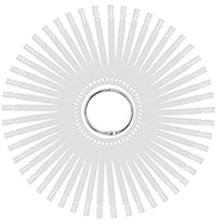 GANAZONO 50piezas Muestrario De Uñas Transparente Para Práctica y Exhibición Esmalte Plantilla Sector Con Anillo Metálico Para Decoración y Entrenamiento Profesional
