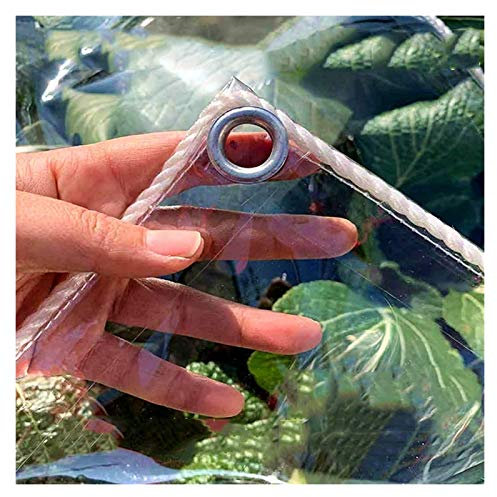 LXLDY Telone Trasparente Impermeabile su Due Lati Tende da Sole Serra Vegetale 0,3 Mm Telone in PVC Usato per Serra, Giardino, Terrazza, 15 Specifiche (2x2m)