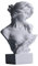 6 H Greek Mythology Bust Statue Decor,Artemis Statues Roman Goddess Figurines,Used for Sketch Practice Aesthetics Statues and Sculptures and Indoor Filling Space for Living Room, Bedroom and Study