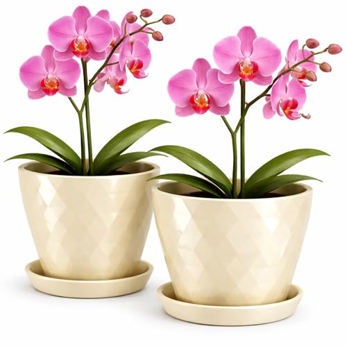 PECZEKO Maceta brillante de plástico para flores, maceta decorativa para plantas grandes y pequeñas, juego de 2 macetas para flores con platillo, maceta para hierbas, beige claro, Ø 20 cm