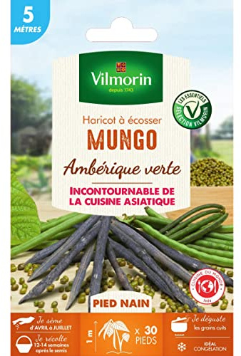 Vilmorin - Graines de Haricot à écosser Mungo 5 mètres