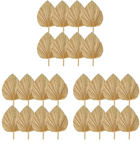 Lot de 24 feuilles de palmier séchées - Éventails de palmier séchés - Fleurs tropicales séchées - Décoration de mariage bohème