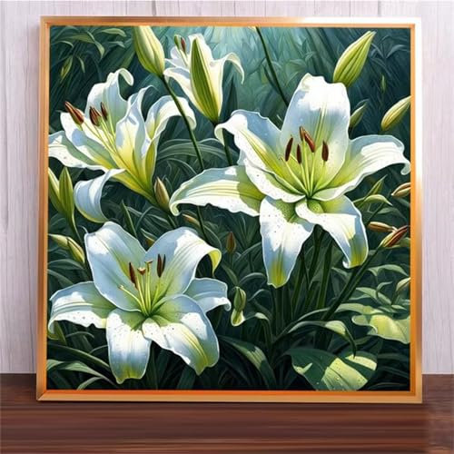 Suneve Malen Nach Zahlen Erwachsene Grüne Lilie,DIY Paint by Numbers mit Pinseln und Acrylfarben Handgemalt Ölgemälde Leinwand für Home Decor Mit Rahmen - 40x40cm