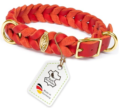 CopcoPet Hundehalsband aus Fettleder 25–29 cm x 15mm Rot – Geflochtenes Lederhalsband – Messing mit Dornschließe – Robust & verstellbar – Für kleine Hunde, ideal für Alltag & Training