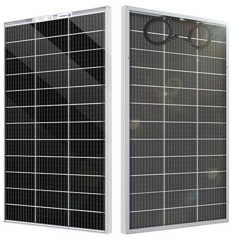 ECO-WORTHY Panel solar bifacial 120W 18V, módulo solar monocristalino para baterías de 12V, fotovoltaica, panel solar 12v ideal para autocaravanas, balcones, casetas de jardín, barcos