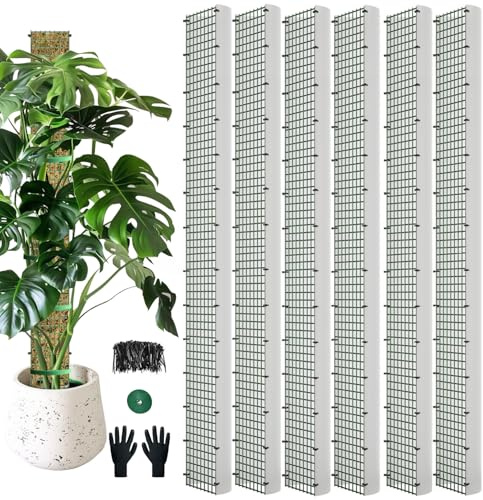 60/40/24 Metal Moss Pole D Shape for Climbing Plants, Indoor Monstera Support Kit With 6 Pieces - Sphagnum Material