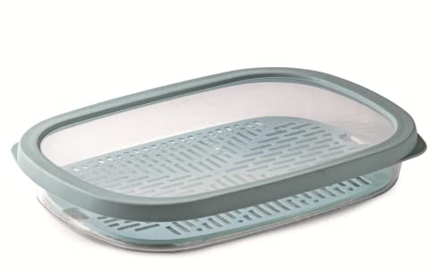 Snips | Contenitore Salva Aroma - Aroma Slice Saver | 1,50 Lt | Griglia Interna | Chiusura Ermetica | 28,5 x 20,5 x 4,5 cm| Made in Italy