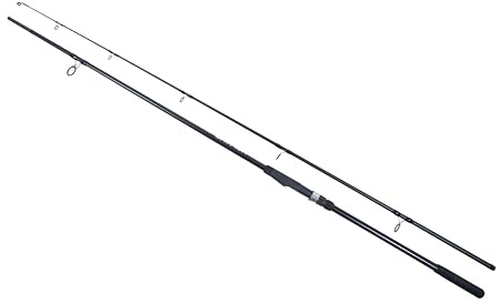 Catchmax Catfish Welsrute 3.00m (-200g) | Wallerrute