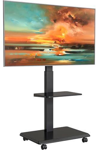 ECOTINY TV Ständer Rollbar aus Stahl für 37-75 Zoll bis 50kg,VESA 600x400