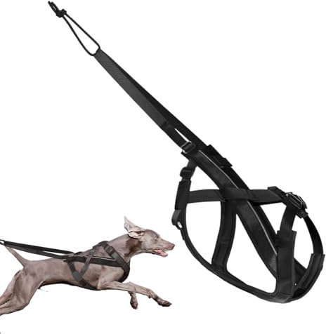 Zuggeschirr für Hunde – Reflektierendes Laufgeschirr für Hunde | Bequemer, Verstellbarer Gurt für Spaziergänge, Sport, Training, Schlitten, Ziehen im Freien