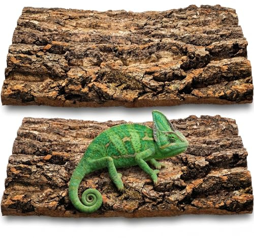 Veemoon Korkrinde Rückwand Für Terrarium - Hintergrundplatte Reptilienbecken 30*20CM 2 Stück Natürliche Baumrindenoptik Ideale Kletterfläche für Gecko Bartagame Schildkröte Spinne Reptilien Wie Gecko