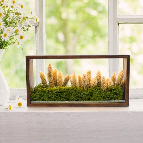 SAMGUYUE 10x5 Shadow Box Frame with Led Light, Rustic Memory Display Case, 3D Picture Frame for Flower Baby Pet Wedding Photo Craft Memorial Gift