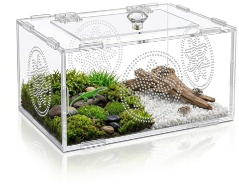 Acryl Terrarium, Vivarium Faunarium Terrarien für Reptilien Amphibien, Transparentes Terrarium für Spinnen, Eidechsen, Frösche, Käfer, Reptilien, Amphibien und Insekten, 20 x 15 x 10 cm