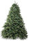 Clifford Weihnachtsbaum 210 cm