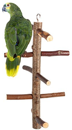 EBTOOLS Drehtreppe für Papageien, Klettergerüst für Vögel, Hängestation, Papageienstange, Spielzeug, Vogelzweige, Klettertreppe für Papageienwellensittiche