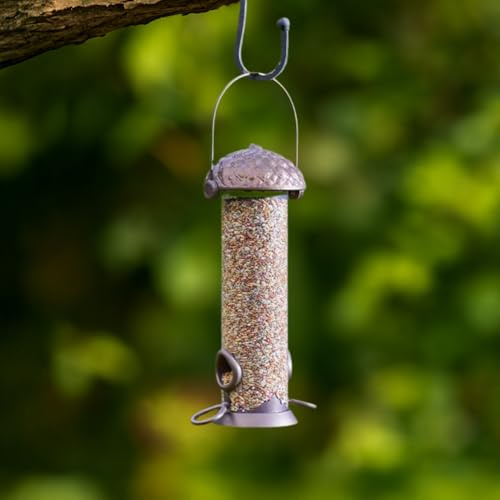 Garden Mile 26 cm Eichel-Vogelfutterstation zum Aufhängen, Käfig-Vogelfutterstation, geeignet für Vogelsamen, Erdnüsse, Talgbälle, Futterstation für Futterstation (Samenfutterstation)