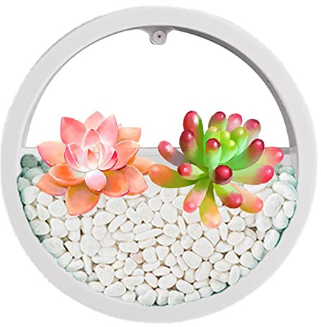 Honhoha Durchsichtiger Wandpflanzer,Durchsichtiger Übertopf zur Wandmontage - Transparente Pflanzenbehälter zum Aufhängen | Blumenwandpflanzen Wandbehang Blumentopf Indoor Runde Wandvase