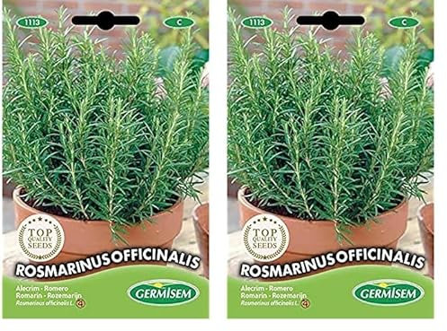 Germisem Rosmarinus Officinalis Semillas de Romero 0.3 g (EC1113) (Paquete de 2)