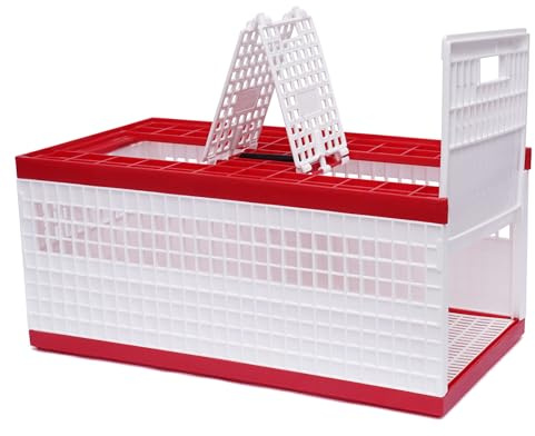 LIAPDG Racing Pigeon Carrier Box, 60 x 31 x 23 Cm Bird Training Basket Folding Pigeon Training Release Cage with 2 Side Doors + 2 Top Department