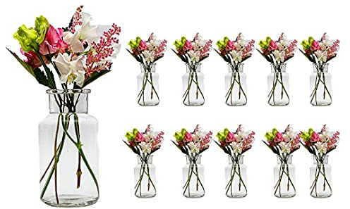 casavetro 10 x kleine Vasen Milk-rund 300 ml kleine Glas-vasen Deko-Flaschen Fläschchen Apotheker(10 x 300 ml-OK)